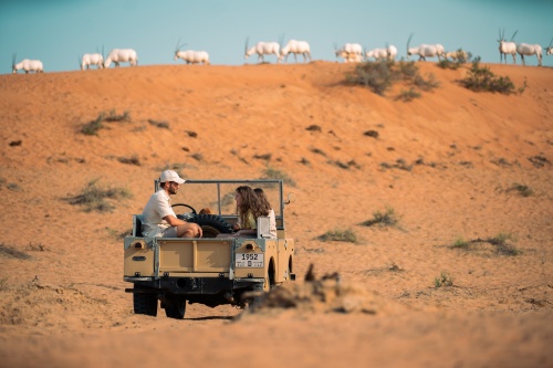 Ras Al Khaimah, Al Wadi Desert